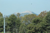 IMG_7543