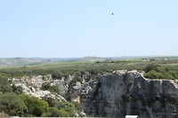 IMG_7575