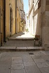 IMG_8003