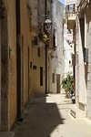 IMG_8005