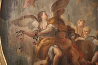 IMG_8028
