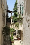 IMG_8091