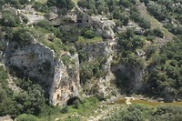 IMG_8116