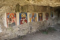 IMG_8164