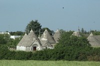IMG_8230