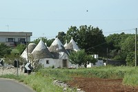 IMG_8239