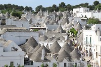 IMG_8277