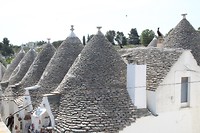 IMG_8300