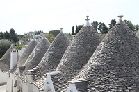 IMG_8301