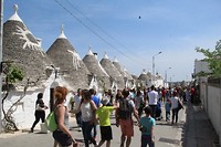 IMG_8349