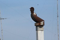IMG_8372
