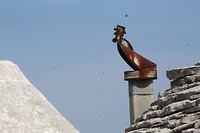 IMG_8373