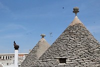 IMG_8381