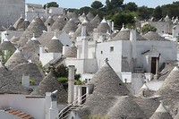 IMG_8392