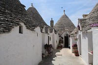 IMG_8415