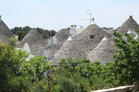 IMG_8427