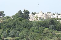 IMG_8442
