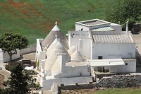 IMG_8443