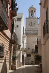 IMG_8448