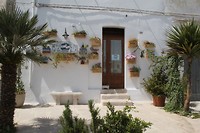 IMG_8460