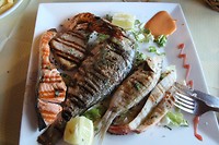 IMG_8668