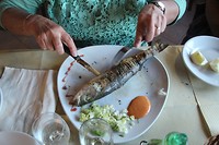 IMG_8669