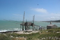 IMG_8678