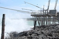 IMG_8685
