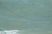 IMG_8689