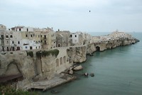 IMG_8742