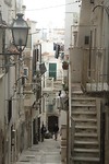 IMG_8745
