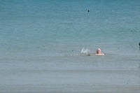 IMG_8778