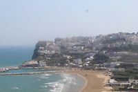 IMG_8818