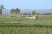IMG_8893