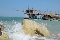 IMG_8923