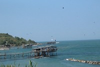 IMG_8933