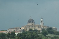 IMG_8952