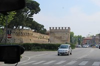 IMG_8996