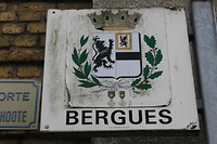 IMG_2262