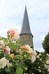 IMG_2270