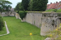 IMG_2271