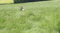 20190625_135929