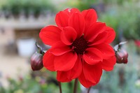 IMG_2280