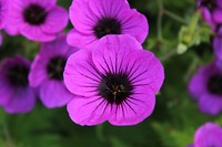 IMG_2359
