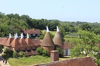 IMG_2383