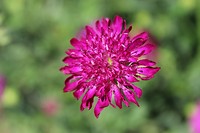 IMG_2355