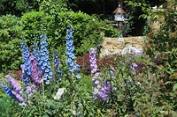 IMG_2412
