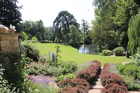 IMG_2425