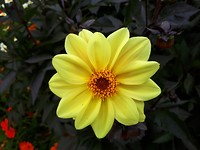 20190702_124220