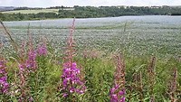 20190707_124326